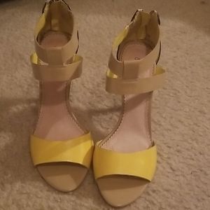 Yellow and Zebra haired shoe